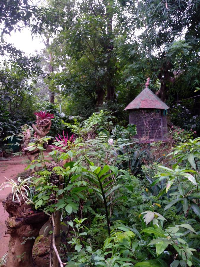 Koomankolly Resort Thirunelly Exterior foto
